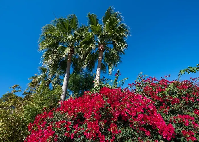 בית חווה Cosmi Prats *