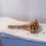 Cosmi Prats Alloggio per agriturismo Santa Gertrudis (Ibiza)