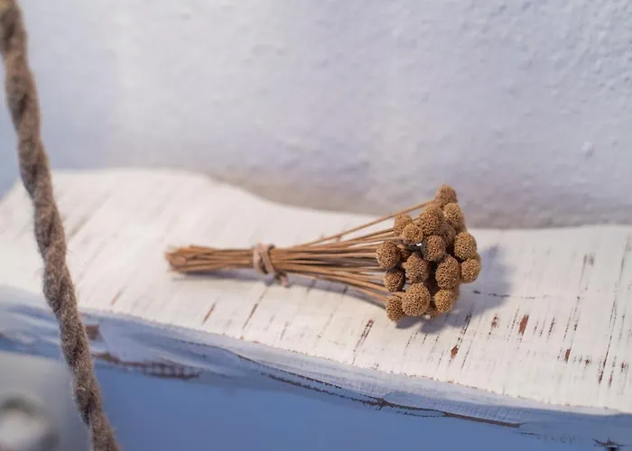 Cosmi Prats Farm stay Santa Gertrudis (Ibiza)